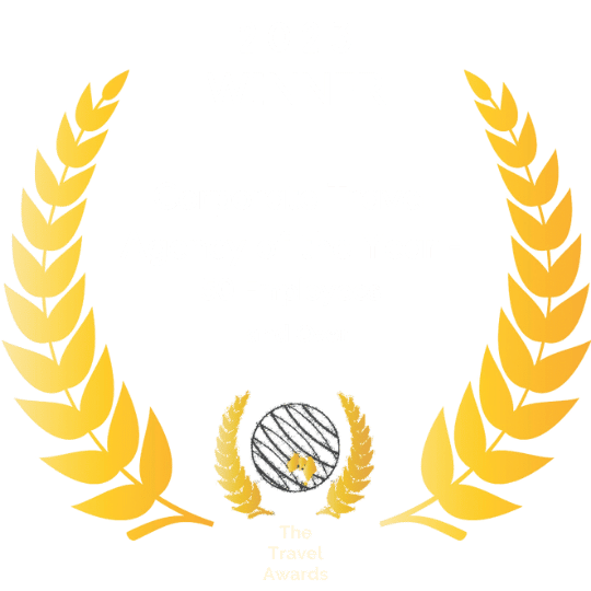  corporate travel award