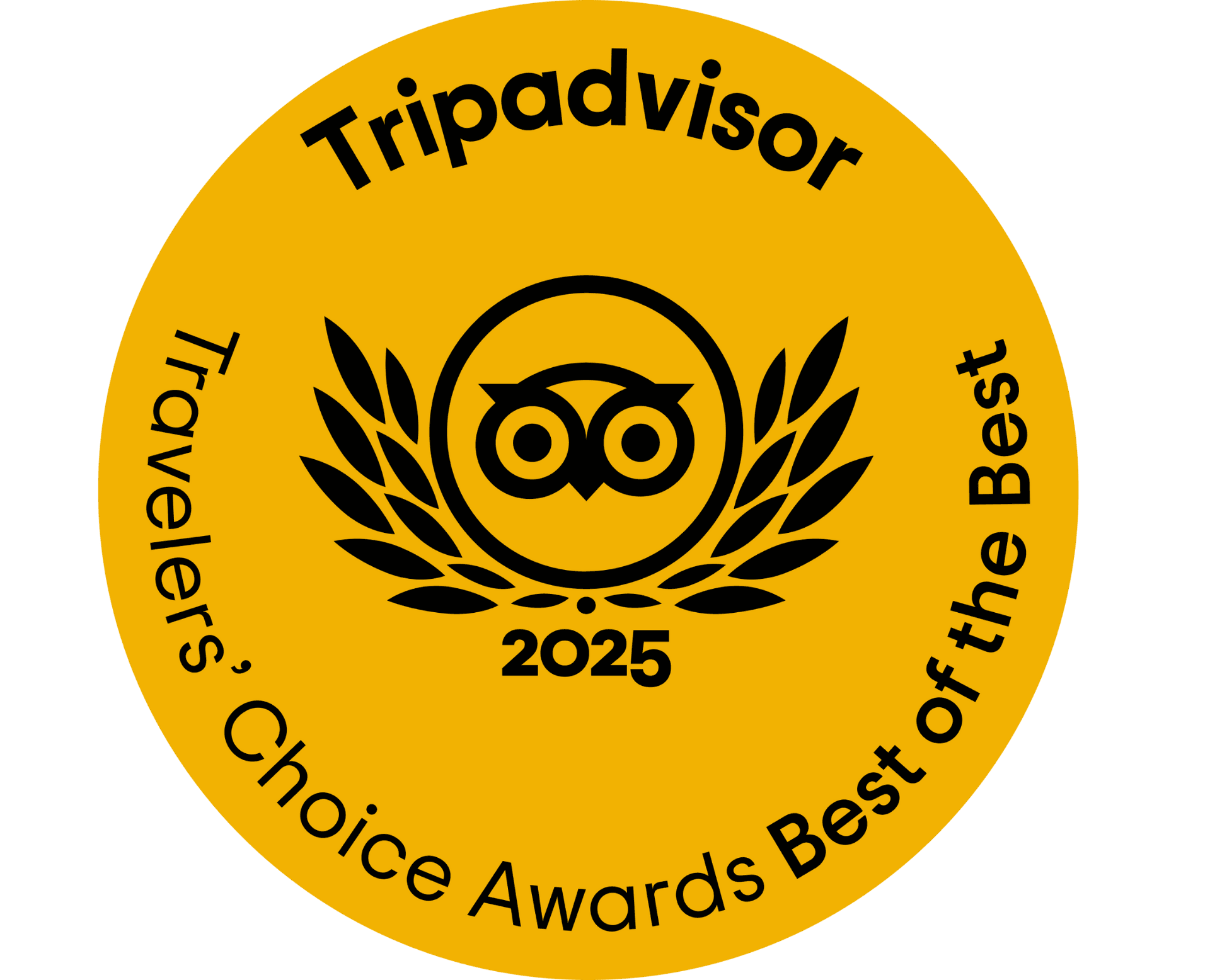 Tripvedas Yatra & Holidays Traveller Choice recognition