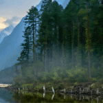 Lush mountains, rivers, and rich cultural heritage of Arunachal Pradesh, perfect for travelers booking tours from Delhi with Tripvedas Yatra & Holidays, India’s trusted travel agency.