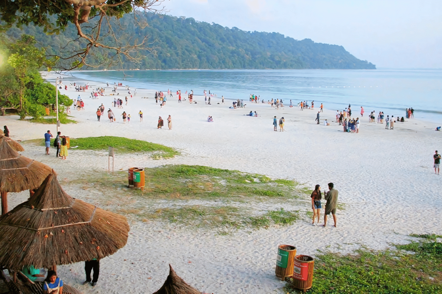 Crystal-clear waters, pristine beaches, and tropical landscapes of Andaman, ideal for travelers booking tours from Delhi with Tripvedas Yatra & Holidays, India’s trusted travel agency.