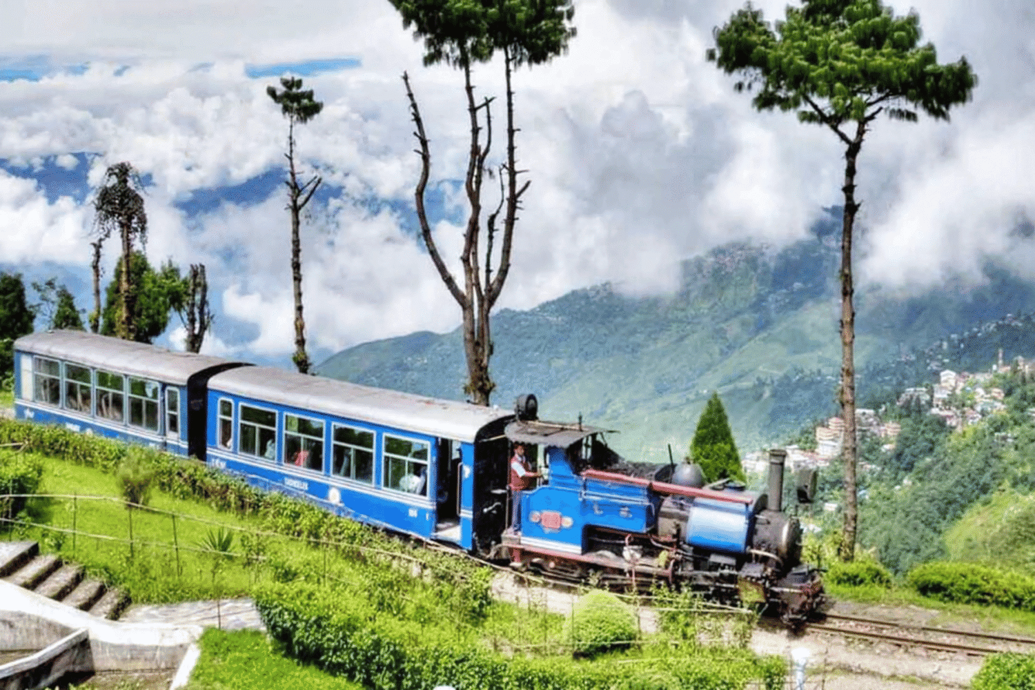 Lush tea gardens, rolling hills, and panoramic mountain views of Darjeeling, ideal for travelers booking tours from Delhi with Tripvedas Yatra & Holidays, India’s trusted travel agency.