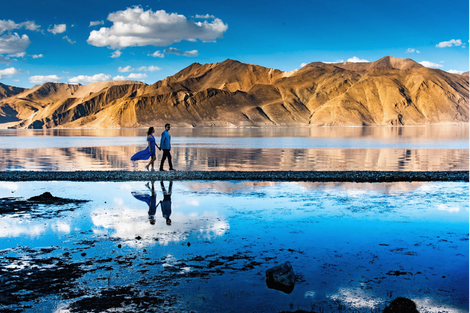 Ladakh tour packages from Delhi by Tripvedas Yatra and Holidays India – snow-capped mountains, lakes, and Himalayan adventure